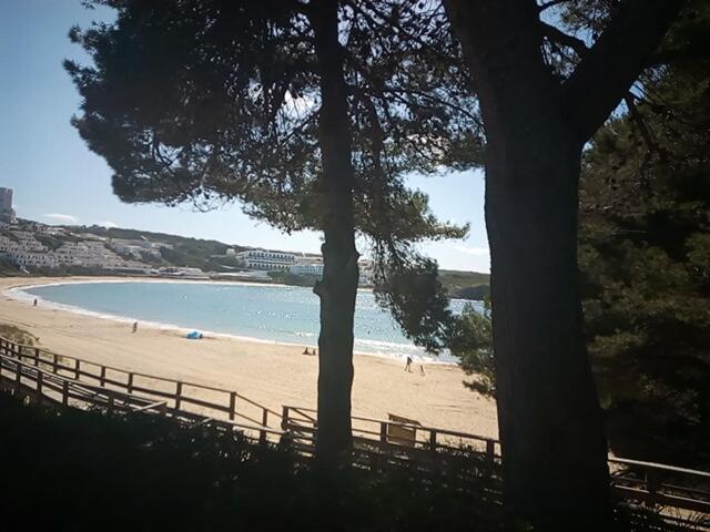 Castellsol Arenal Home Beach Punta Grossa Værelse billede
