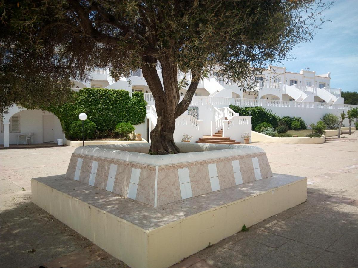 Castellsol Arenal Home Beach Punta Grossa Værelse billede