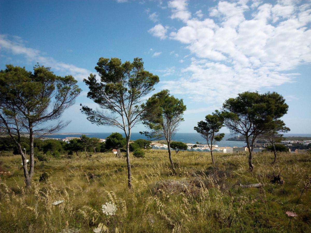 Castellsol Arenal Home Beach Punta Grossa Eksteriør billede